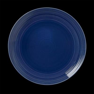 Concorde Midnight Blue Coupe Plate 28cm (11)