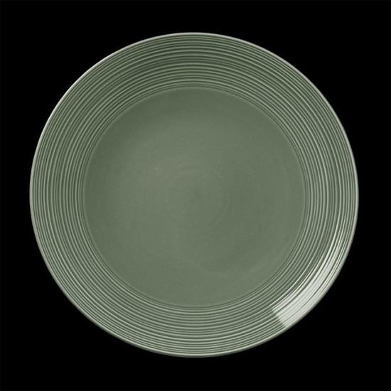 Concorde Fern Coupe Plate 28cm (11)