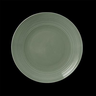 Concorde Fern Coupe Plate 25.5cm (10)