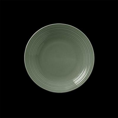Concorde Fern Coupe Plate 20.25cm (8)