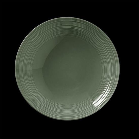 Concorde Fern Coupe Bowl 25.5cm (10 42 2/7oz)